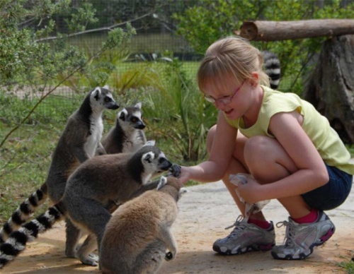 Holiday Inn Express & Suites Lakeland South image 43